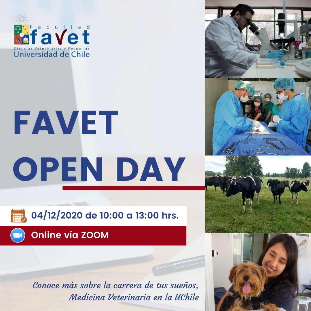 Favet Open Day Facultad De Ciencias Veterinarias Y Pecuarias